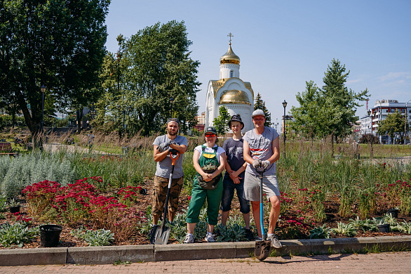 На клумбе в центре Иванова заменили 150 отравленных в мае растений